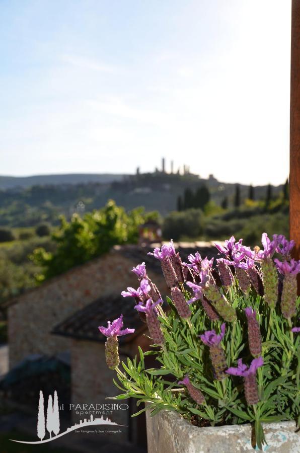 Il Paradisino San Gimignano'S Best Countryside Ngoại thất bức ảnh